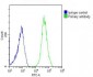 DEF Antibody  (N-term)